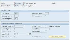 vendor master data structure in sap