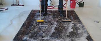 rug cleaning brisbane carpet experts