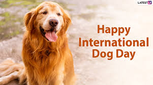 International dog day was founded in 2004 by colleen paige, a pet & family lifestyle expert, animal rescue advocate, conservationist, dog trainer and author. International Dog Day 2020 Images Hd Wallpapers Wishes For Free Download Online Cute Dog Photos Facebook Greetings Gifs And Quotes To Send To Dog Parents Latestly