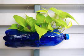 Top 20 Plastic Bottle Flower Pot Design