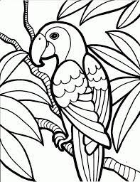 Maybe you would like to learn more about one of these? Free Printable Parrot Coloring Pages For Kids Jungle Coloring Pages Bird Coloring Pages Animal Coloring Pages