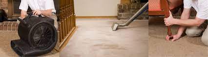 carpet cleaning scam herts pro carpet
