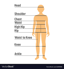 Boy Size Chart Human Front Side Silhouette