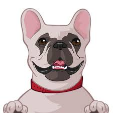 make a cartoon of your dog s photo