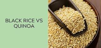 Which is better black rice or quinoa?