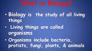definition of biology you