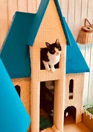 Diy Cat Castle Cardboard Play House