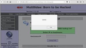 discover xss security flaws by fuzzing