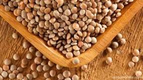 Why do my lentils smell bad?