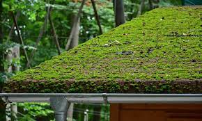 how to remove moss from roofs renova