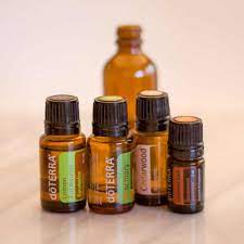 essential oil bug spray recipe for