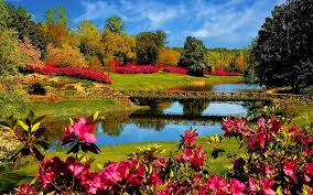 Beautiful Garden Lake Lakes Flowers