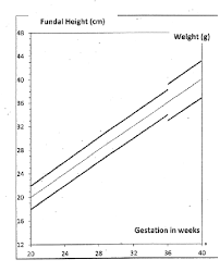 Figure 5 From Customised Symphysio Fundal Height Charts