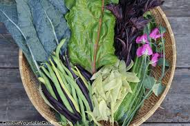 Best Vegetables To Plant In Spring