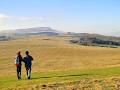 Image result for visual Middleham moor gallops