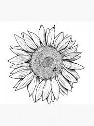 Cara mewarnai gambar sketsa bunga mawar. 10 Ide Lukisan Bunga Matahari Sketsa Gambar Bunga Tea And Lead