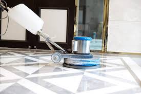 professional carpet cleaning in st