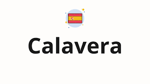 ounce calavera skull in spanish