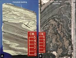 The Seismite Problem Sciencedirect