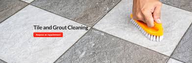 lehmans carpet cleaning flooring s