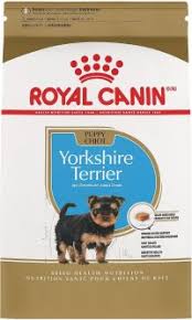 the best dog food for yorkies 2022