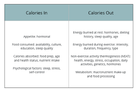 Energy Balance Fettle And Food
