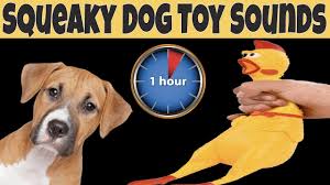 squeaky toy dog toy sounds 1 hour dog