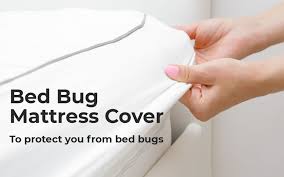 the best bed bug mattress cover to keep