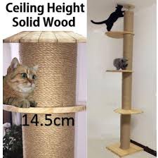 ceiling wooden cat climbing tree