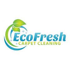 eco fresh carpet cleaning project