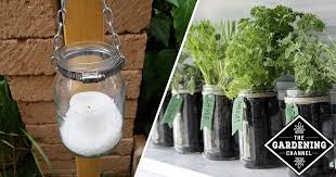 7 Brilliant Mason Jar Gardening Ideas