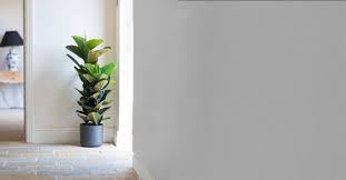 The foliage and flowers of houseplants add unmistakable living beauty to your indoor home decor. Artificial Rubber Tree Blooming Artificial