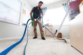 carpet cleaning service in denver co