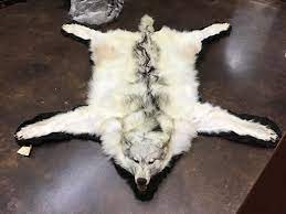 timber wolf skin rugs furcanada