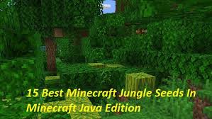 15 best minecraft jungle seeds in