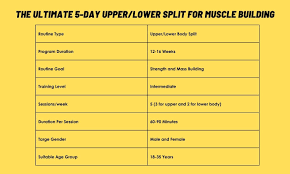 5 day upper lower split for strength