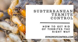 subterranean termite control how to