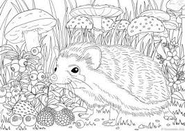 This coloring page features an adorable hedgehog with a flower and swirly background. Pin On Coloring Pages