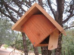 Nest Box Plans For Several Bird Species