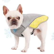 Amazon Com Nuxn Dog Cooling Vest Harness Extra Large Dog