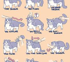 Ways To Pet Your Cat Chart Alltop Viral