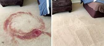 will carpet cleaner remove blood