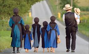 Typical Summer Day for Amish Children | The Amish Village