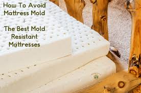 the best mold resistant mattress