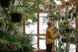 how to keep indoor plants alive through
