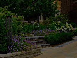 Landscaping Dallas Fort Worth