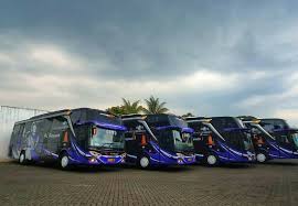 5 pemilik bus di indonesia #2. Haryanto Funtrip