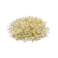 sprouts alfalfa order delivery