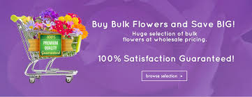 Listed below you'll find some of the best bulk flowers coupons, discounts and promotion codes as ranked by the users of retailmenot.ca. Leading Distributor Of Floral And Event Supplies Glass Vases Craft Items Wholesalefloral Com