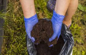 How To Potting Soil All Year